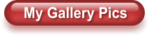 My Gallery Pics
