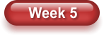 Week 5