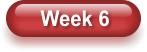 Week 6