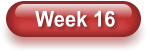 Week 16