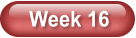 Week 16